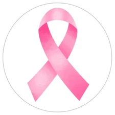 108 Awareness and Support Ribbon Labels - Planner Stickers -Breast Cancer-Autism