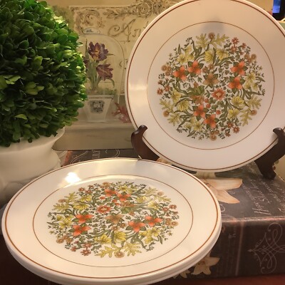 (4) Corelle/Corning~INDIAN SUMMER~10  Dinner Plates~c 1977-1985~Harvest Colored~