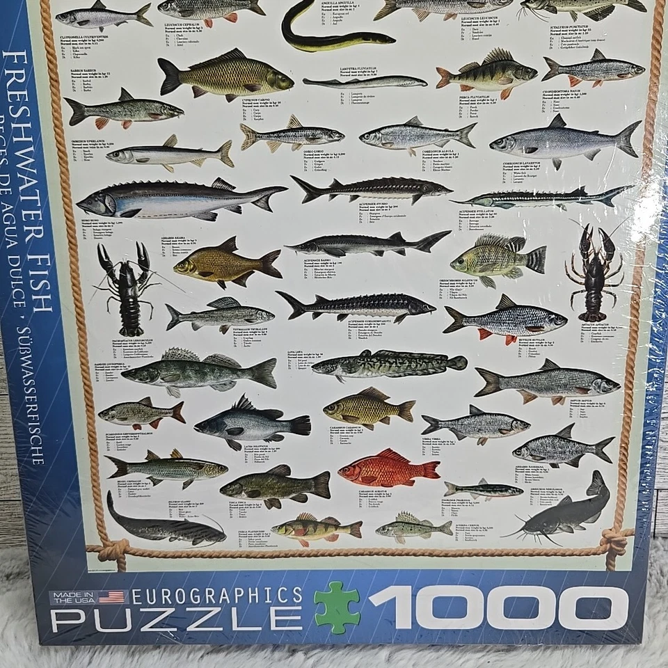 淡水鱼拼图 1000 件 19x26 钓鱼渔夫欧洲图形美国 — 第 4/4 张图片