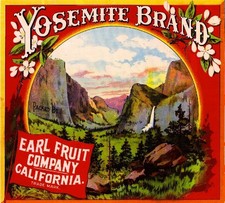 f47 Los Angeles Yosemite Orange Citrus Fruit ...