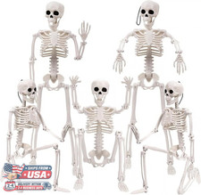 5 Pack 16 Posable Halloween Skeletons Full Body Hanging Haunted House Decor