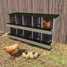 10 Holes Chicken Nesting Boxes Coop Metal Roll Away Chicken Egg Laying Box Green