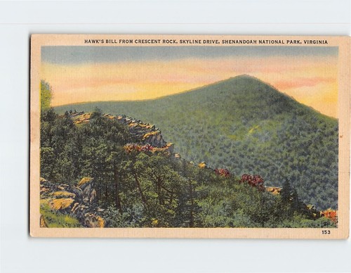 Postkarte Hawk's Bill Shenandoah Nationalpark Virginia USA