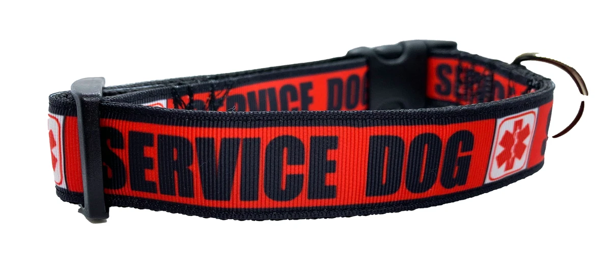 Service dog cheap gear