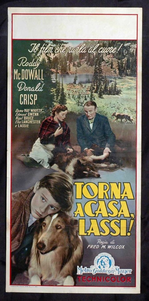 Locandina di Lassie (1994)