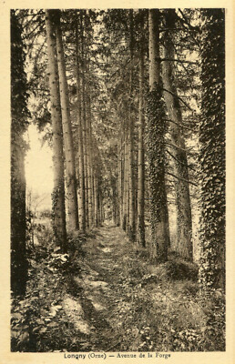Karte LONGNY AU PERCHE Avenue de la Forge Der Wald