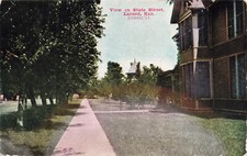 VINTAGE LARNED KS KANSAS POSTCARD HOMES ON STATE STREET c1910 042524 T
