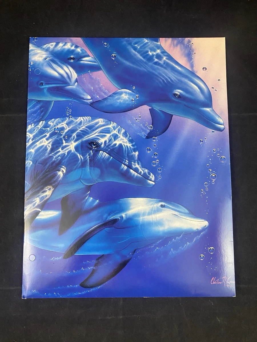 Vintage 90s Christian Lassen 3 Ring Folder Dolphin Environment USA