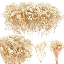 200Pcs Mini Dried Baby's Breath Flowers 4000 Natural Bulk Flowers Real Flower...
