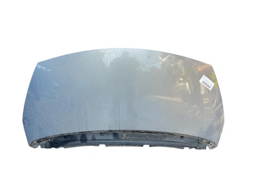 651000267R Capo para RENAULT ESPACE IV (JK0) Expression 2007 9219543 - Foto 1 di 10