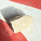 Dug Civil War 💥 🇺🇸 💣 Fired Pistol Bullet A Rifling CSI