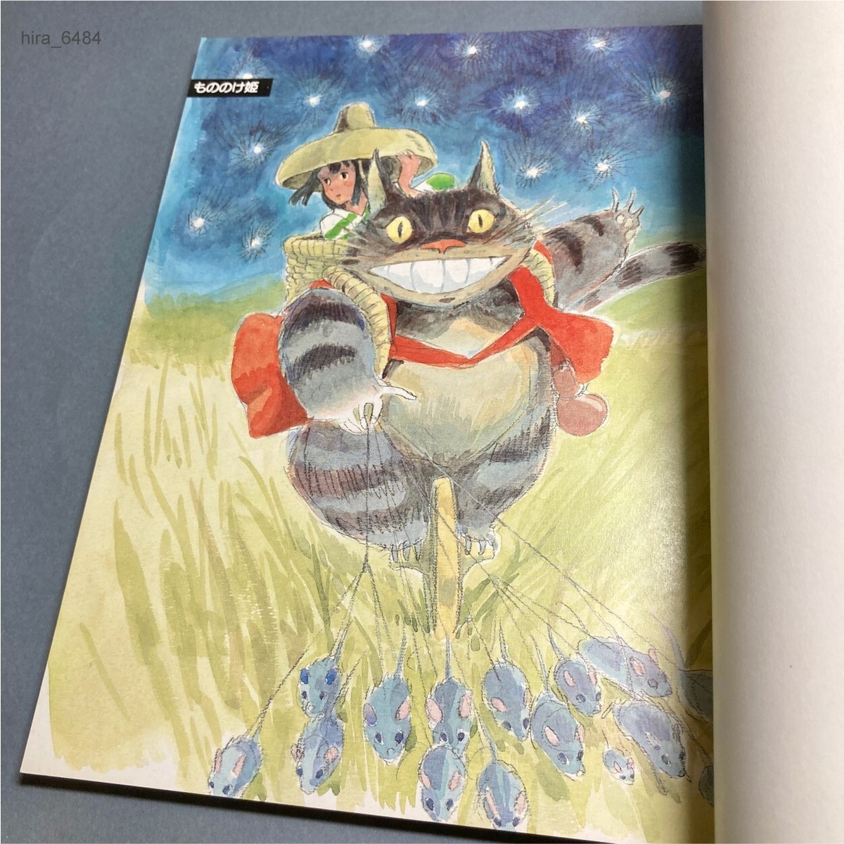 Hayao Miyazaki Image Board Collection First edition Studio