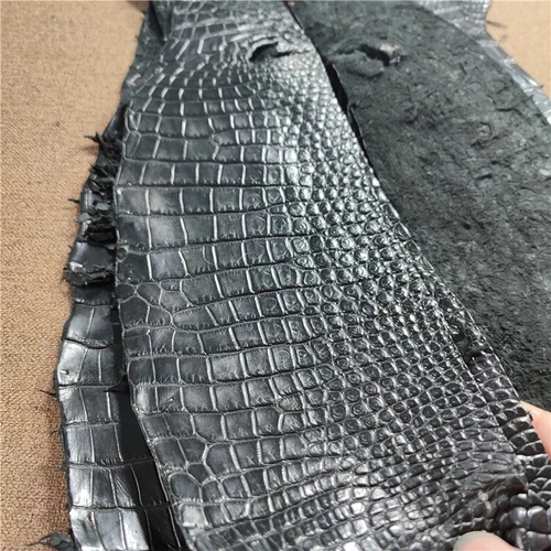 1X Real Alligator Skin Hide Genuine Crocodile Belly Leather Pelt Craft Material - Picture 10 of 10