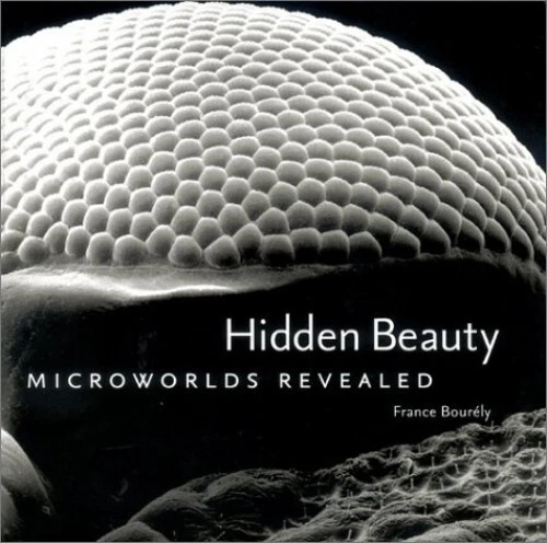 Hidden Beauty: Microworlds Revealed, Bourely, France - Picture 1 of 2