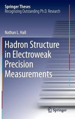 Hadron Structure in Electroweak Precision Measurements - 9783319202204