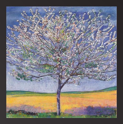 KIRSCHBAUM IN BLÜTE von Ferdinand Hodler