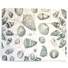 Pottery Barn Freeport Sea Shell 100 Organic Cotton Standard Pillow Sham 200TC