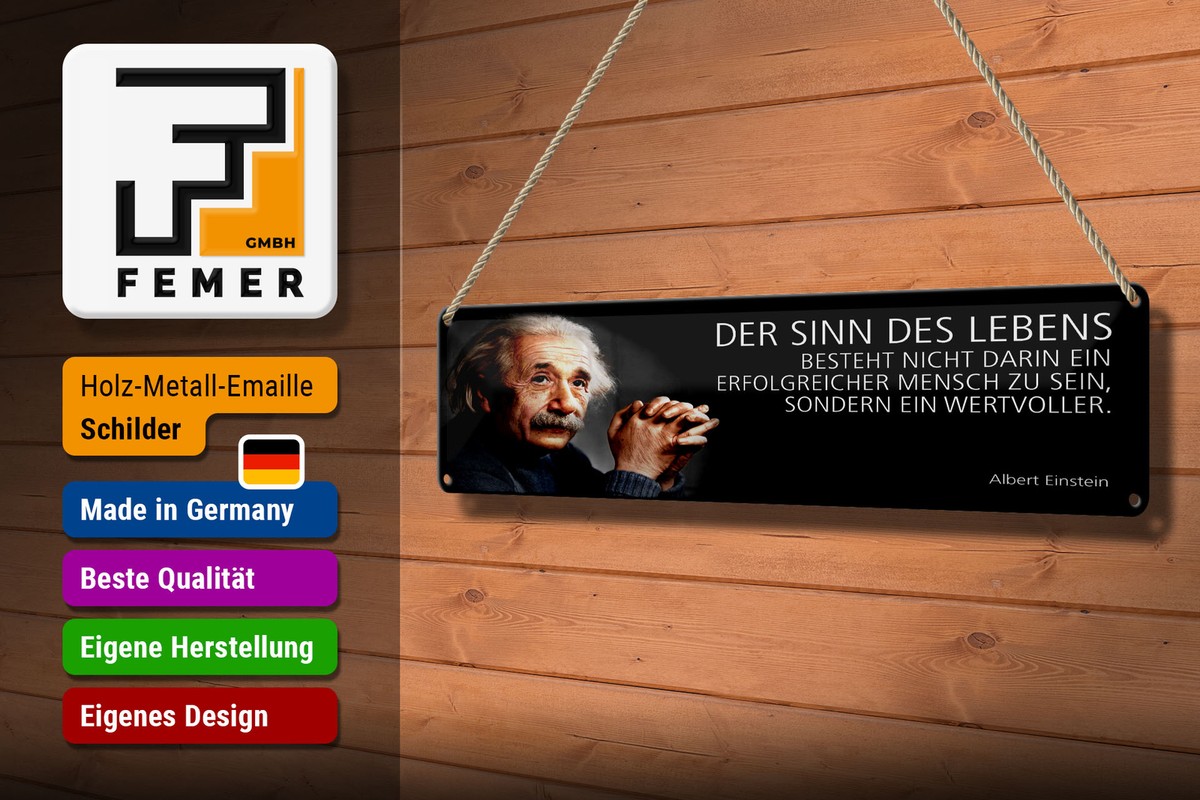 Plaque En Tôle Albert Einstein - Citation 'Der Sinn Des Lebens...' - 18x12 Cm - Décoration Murale