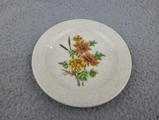 1x Vintage Homer Laughlin DAYBREAK Hearthside Ringed Shape BREAD PLATE  1970’s 