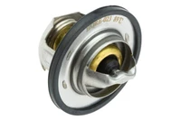 Thermostat FüR Renault Clio III Espa/Ce IV Laguna II Laguna III