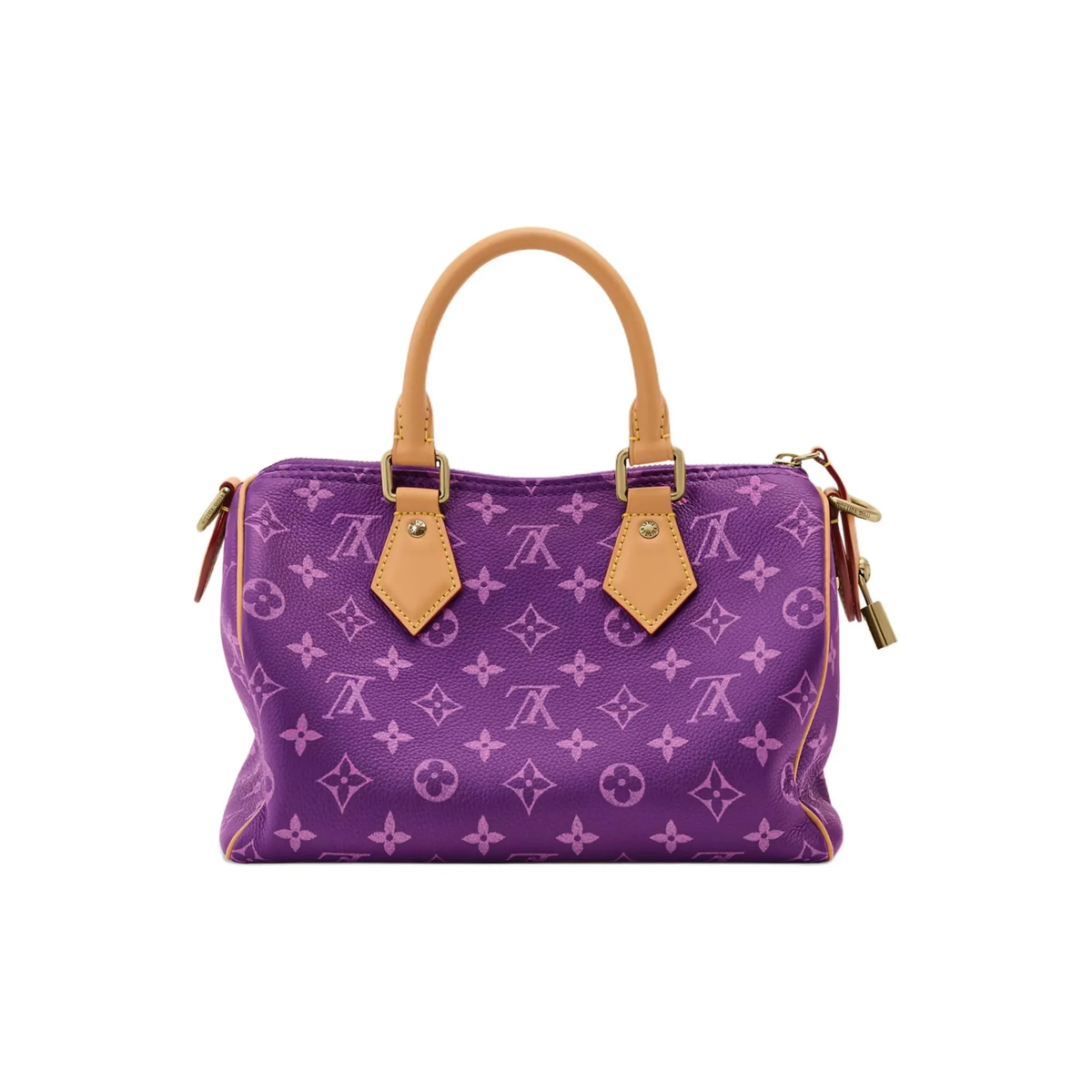 LOUIS VUITTON Speedy P9 BANDOULIÈRE 25 Leather Tote Bag for Men