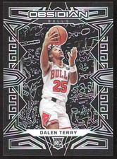 1613F 2022-23 Panini Obsidian #163 Dalen Terry