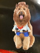 NEW Cowboy Costume Pet Size Medium Dog 20-50 lb Halloween Vibrant Life Hat Top