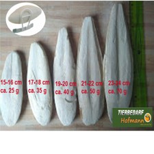 Sepia Miski sepii Miski sepii Uchwyt sepii Wapń Wapno paszowe Cuttle Bone 2 szt.