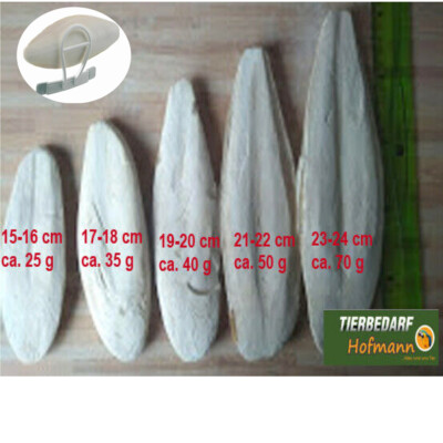 Sepia Sepiaschale Sepiaschalen Sepiahalter Calcium Futterkalk Cuttle Bone 2 Stk