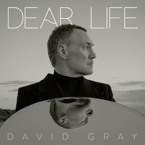 Dear Life 