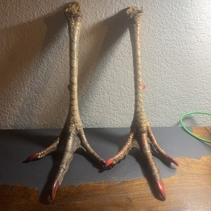 Turkey Legs taxidermy
