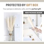 NEW Luxury Dried Pampas Grass Branches Decor 35 Pieces 17" Boho + 17 Bunny Tails — photo 6