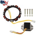 Stator Alternateur Régulé 10/16A Compatible Briggs & Stratton 696458 | Remplacement Pour Tondeuse, Tracteur - 8