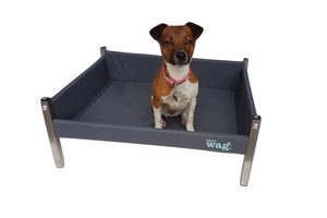 elevated dog bed small