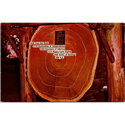 1930 Tree Cut Down 1776 Declaration Of Independence Vintage Postcard SPY28