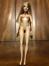 mattel barbie As The Island Princess Singing Luciana Doll