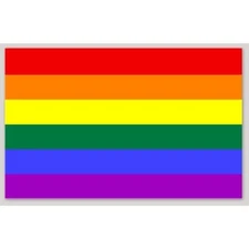 4 Inch Non Reflective Rainbow LGBTQ Vinyl Sticker