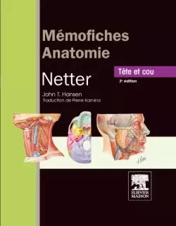 Memofiches Anatomie Netter - Kopf und Hals, John T. Hansen und Pierre Kamina