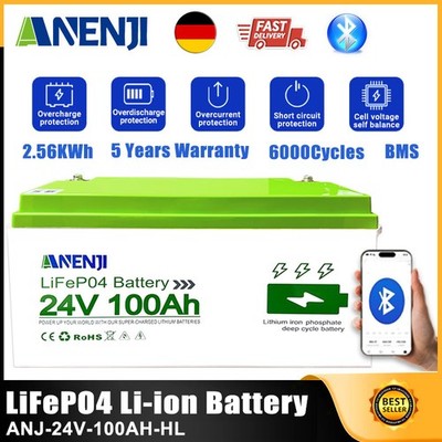 24V 100Ah 2.56kwh LiFePO4 Battery 25.6V BMS for Home RV Solar Storage System