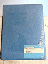 Creatology Felt Sheets 9x12 inches 15 pc pack Blue ideal for Craft