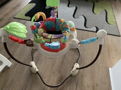 Fisher Price Luv U Zoo Jumperoo Bouncer Toys Indoor