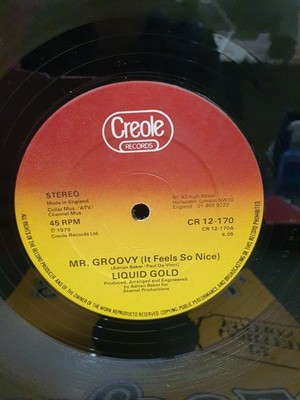 Liquid Gold - Mr. Groovy (It Feels So Nice), 12'', (Vinyl)