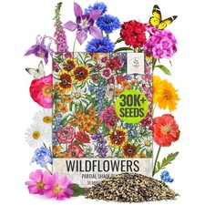 Bulk Wildflower Seed Pack | Attracts Pollinators | 2 Oz | All Hardiness Zones 211.04 per gallon