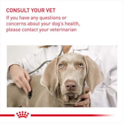 Royal Canin Hondenvoer Digestive Care 12 x 85 gr | De Boer Dier & Ruiter Royal Canin Hondenvoer Digestive Care 12 x 85 gr | De Boer Dier & Ruiter