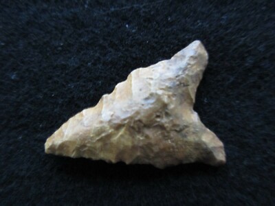 GENUINE ARTIFACT, NATIVE AMERICAN ''DALTON'' ARROWHEAD, with COA,   ATL-1122*05176