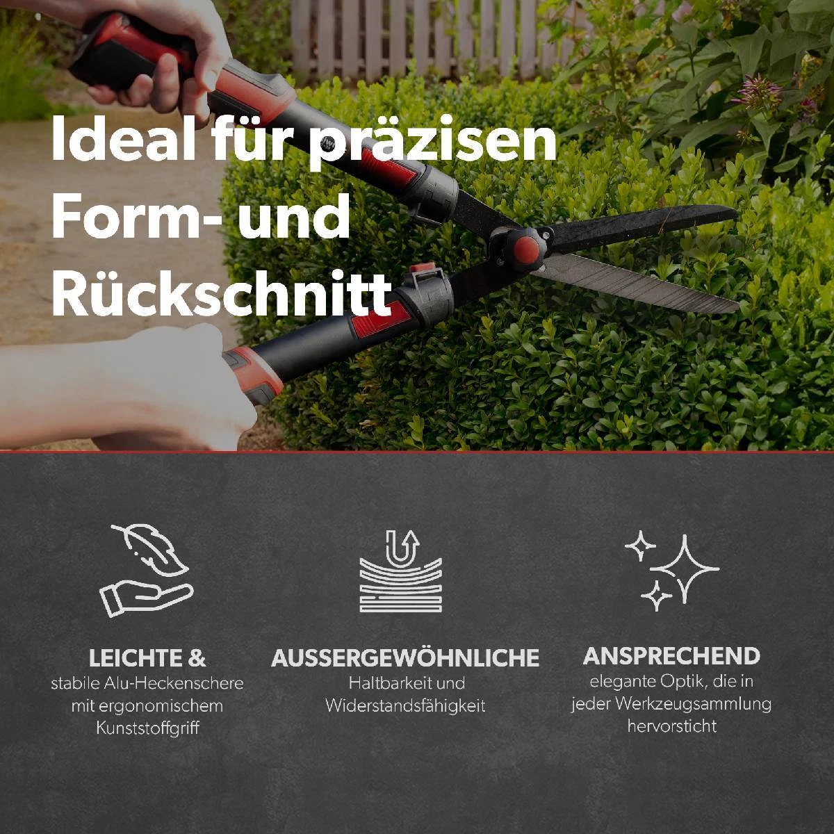 Bild 6 von 8