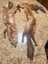 Vintage Genuine 3 Full Red Fur Fox Stole With Legs And Tails Clasp  Closure
