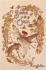 Summer in Orcus (Paperback or Softback)