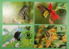 DR WHO 1998 TAIWAN CHINA 4 FDC MAXIMUM CARD BUTTERFLY/FLOWER R62815