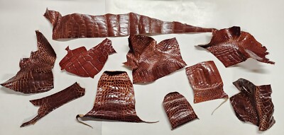 Alligator Skin Remnants Glazed 0312